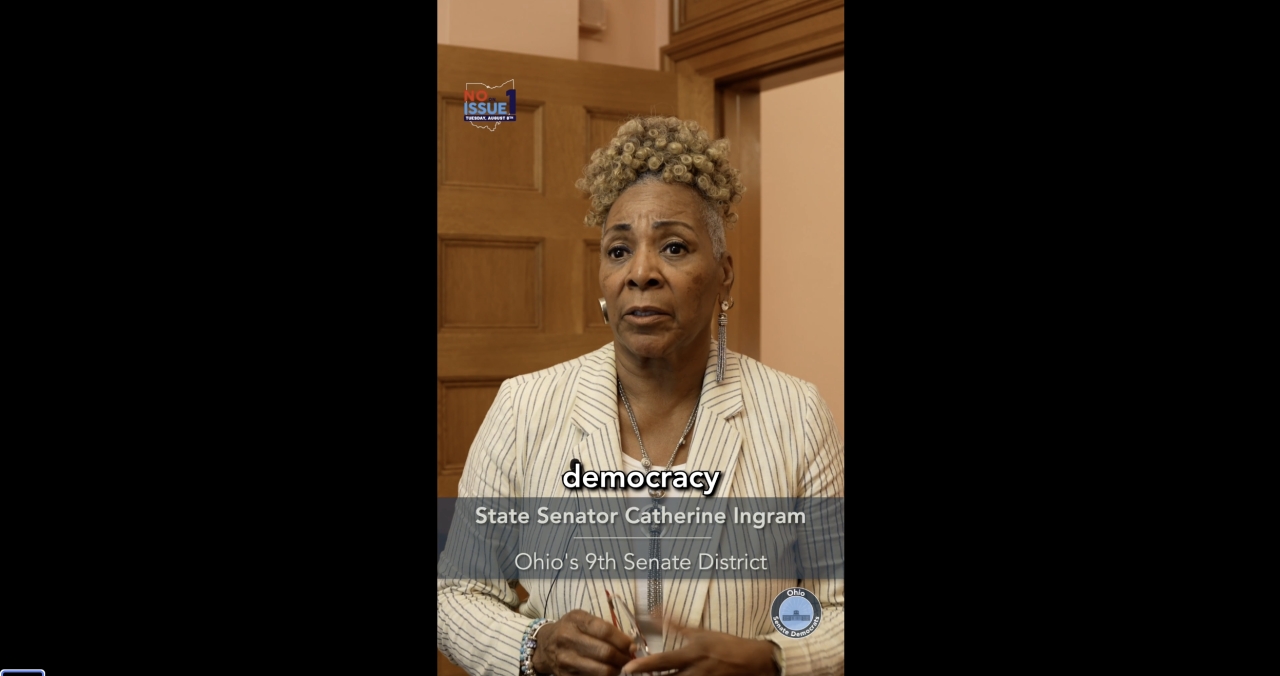 Vote No on Issue 1 on August 8 | State Senator Catherine D. Ingram