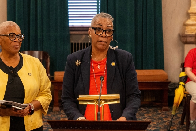 Ingram, Hicks-Hudson Call for Increased Gun Safety Measures