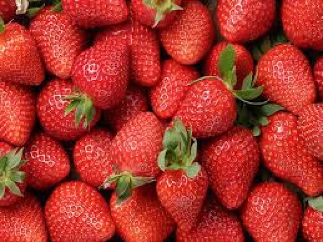 McColley Encourages Local Farmers to Apply for 2018 Specialty Crop Grant