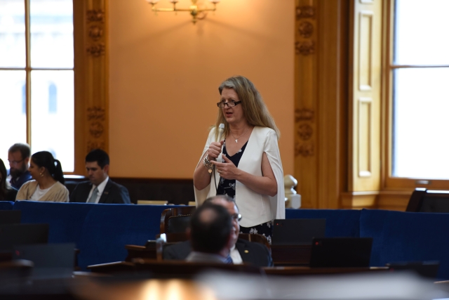 Senate Passes Roegner Bills Honoring Military Members and Their Families
