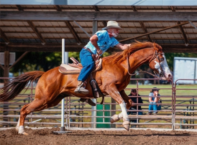 Senator Koehler riding a horse