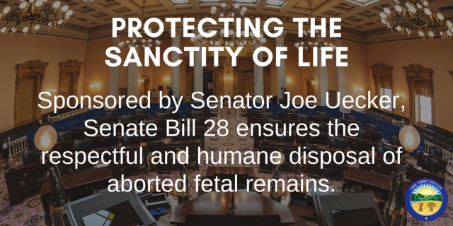Wilson Applauds Senate Passage Of Bill Protecting The Dignity Of Life For Aborted Fetal Remains